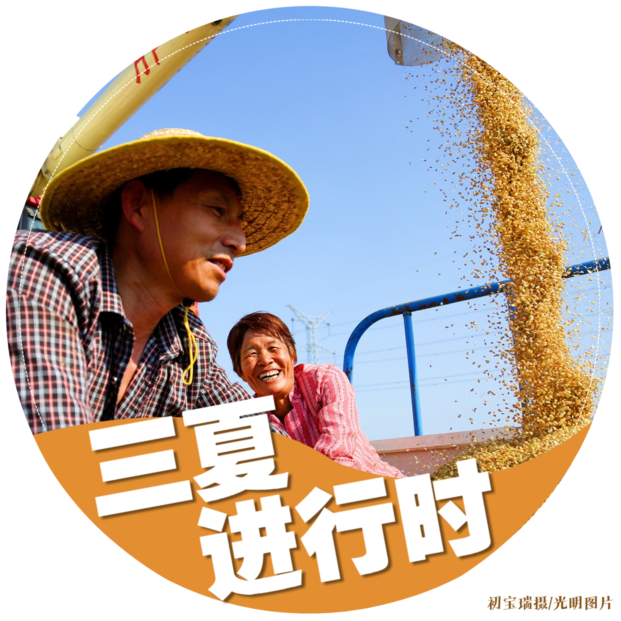 【三夏进行时】海报｜颗粒归仓！金色麦田喜开颜