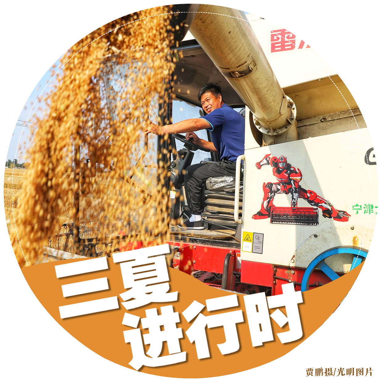 【三夏进行时】海报｜颗粒归仓！金色麦田喜开颜