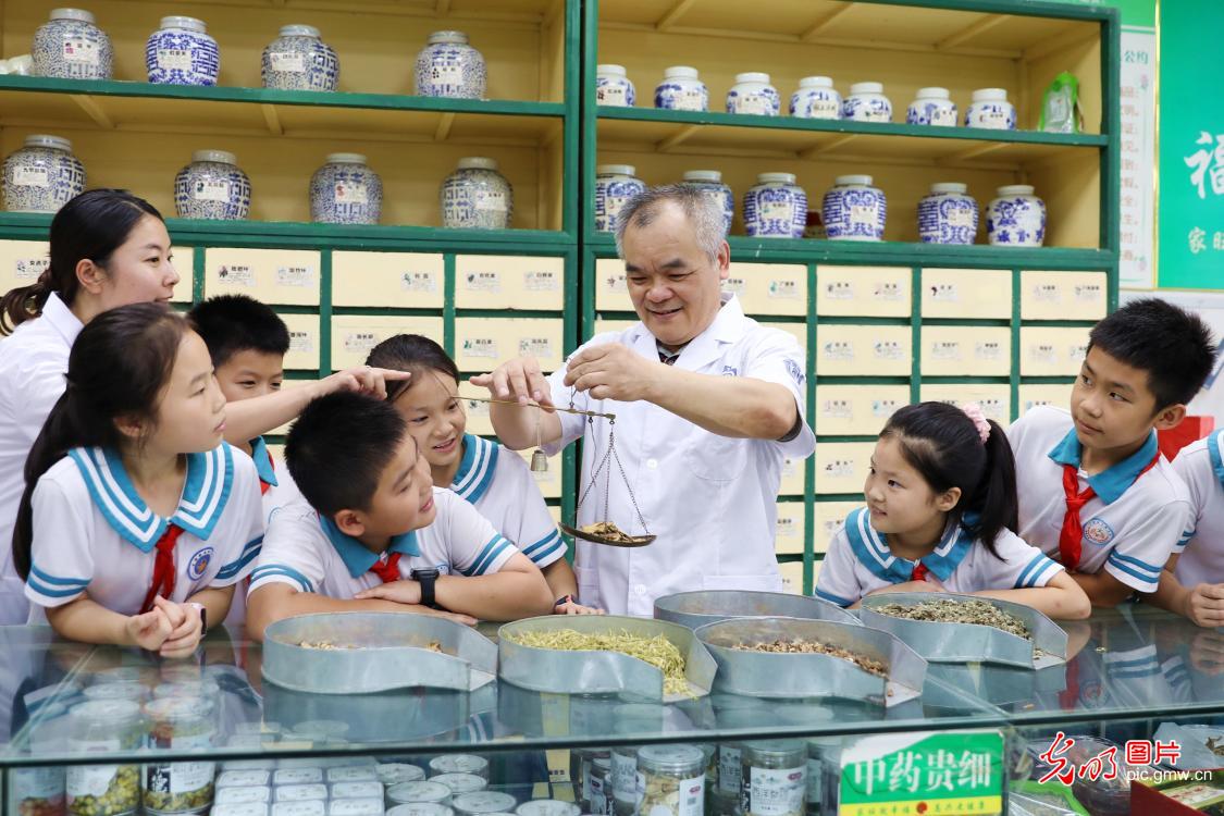 识中药 过端午 识中药 过端午