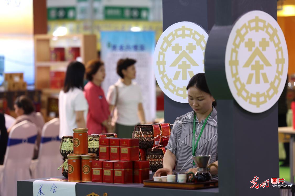 【消费提振】茶叶博览会共建产业交流平台