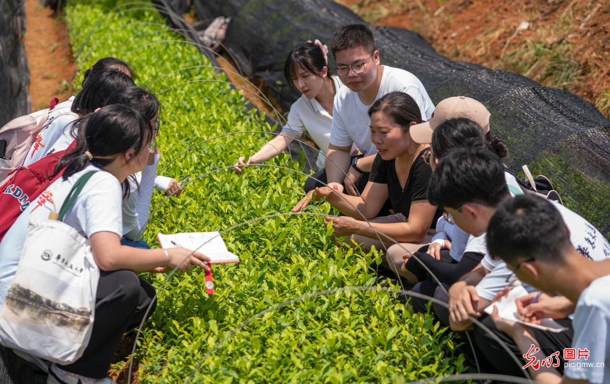 大学生“三下乡”开展社会调研