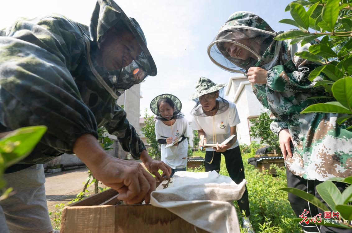 大学生“三下乡”开展社会调研