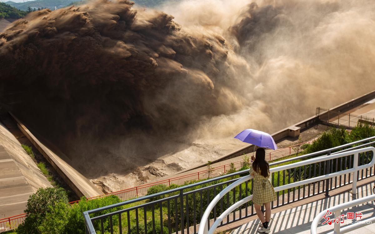 黄河小浪底水库排沙 气势磅礴