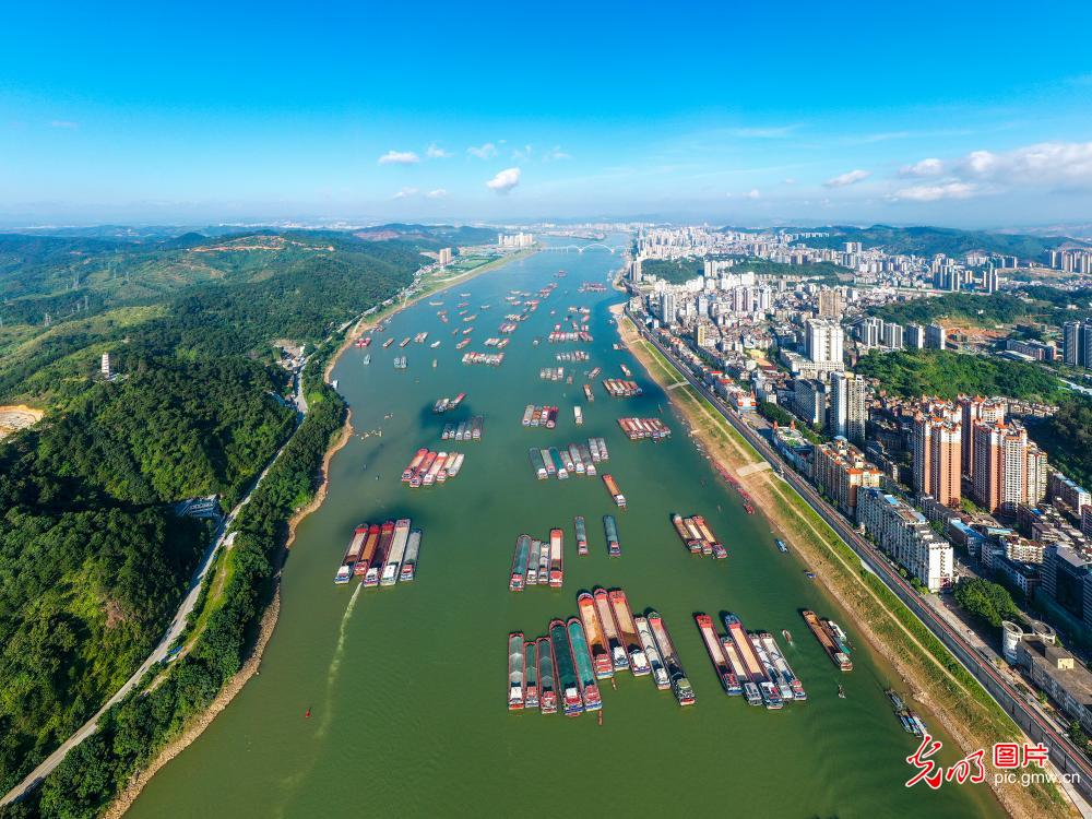 广西梧州西江航运忙