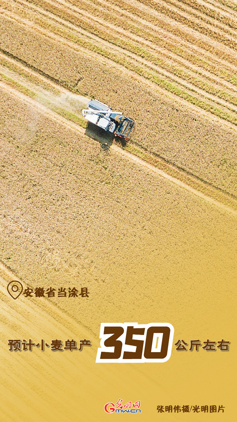 【三夏进行时】海报｜智慧麦收 绘就乡村好“丰”景