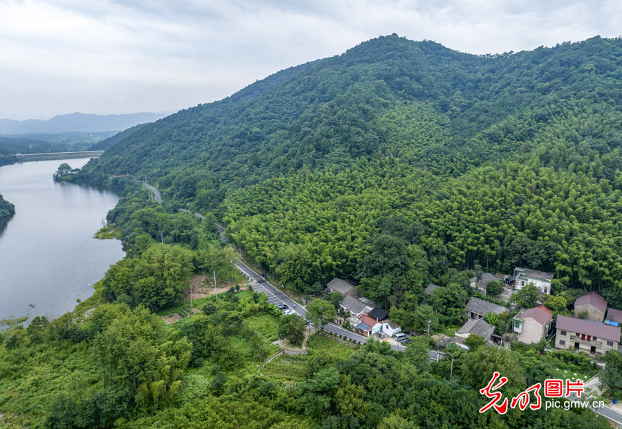 【夏日凉滋味】高温催热夏日“清凉经济”