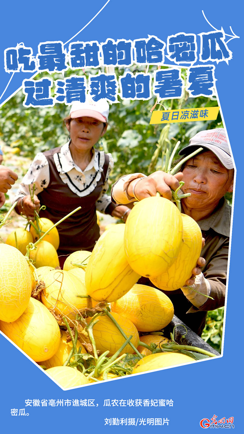 【夏日凉滋味】瓜果飘香 清凉一夏