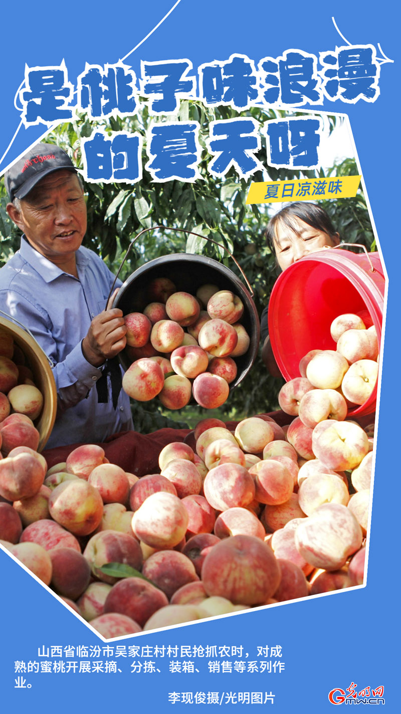 【夏日凉滋味】瓜果飘香 清凉一夏