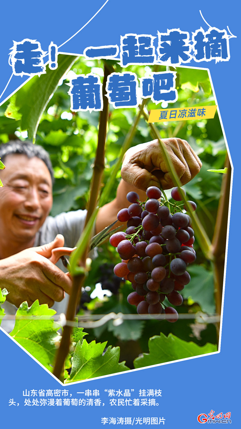 【夏日凉滋味】瓜果飘香 清凉一夏