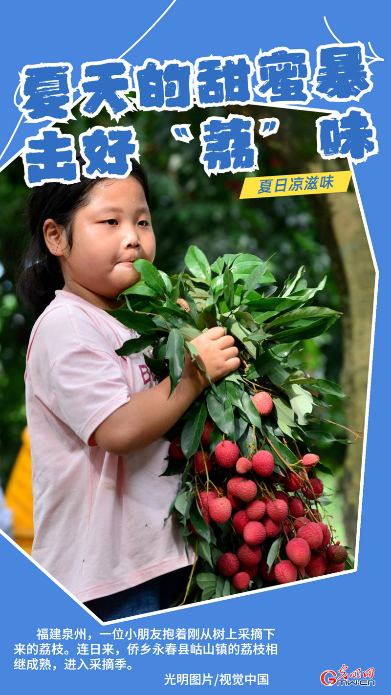 【夏日凉滋味】瓜果飘香 清凉一夏