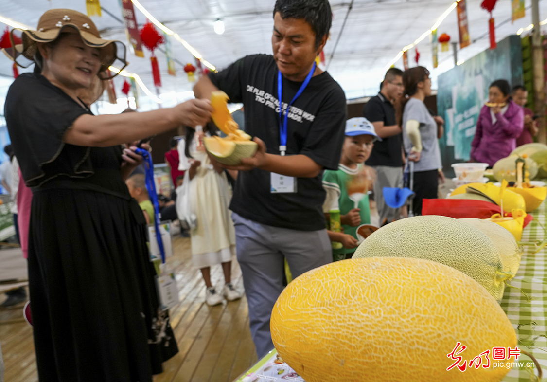 第十七届哈密瓜节开幕 第十七届哈密瓜节开幕