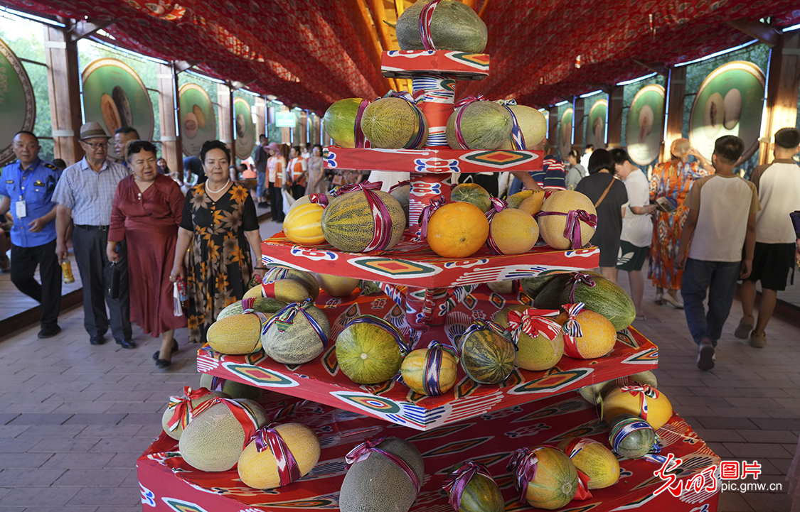 第十七届哈密瓜节开幕 第十七届哈密瓜节开幕