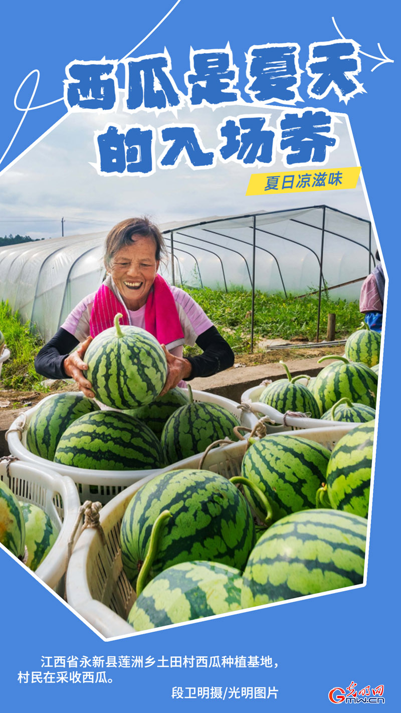 【夏日凉滋味】瓜果飘香 清凉一夏