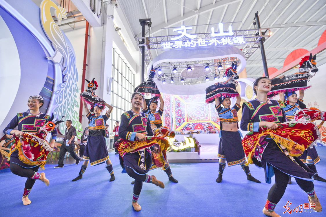 【消费提振】第七届中国—南亚博览会在昆明开幕