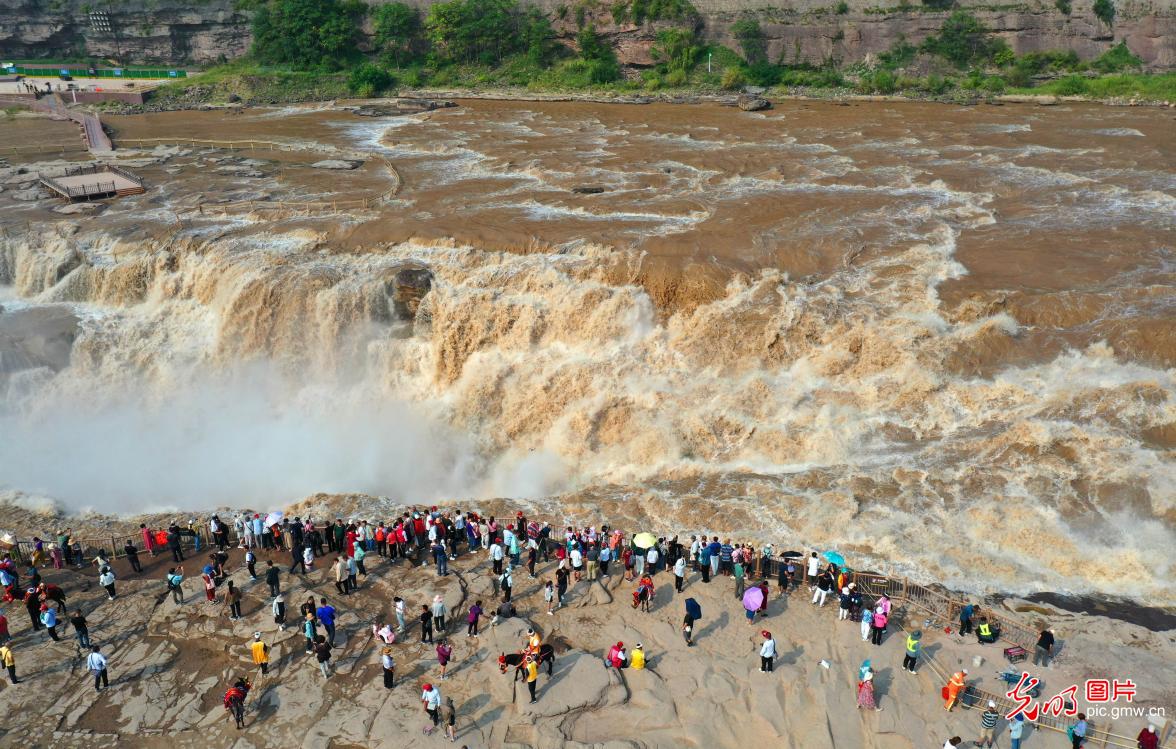黄河壶口瀑布 丰水迎来秋汛
