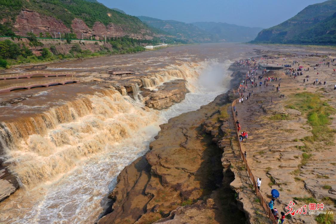 黄河壶口瀑布 丰水迎来秋汛