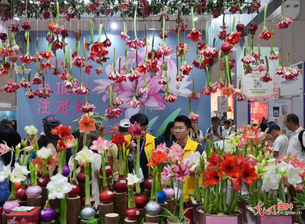 第二十一届中国昆明国际花卉展开幕