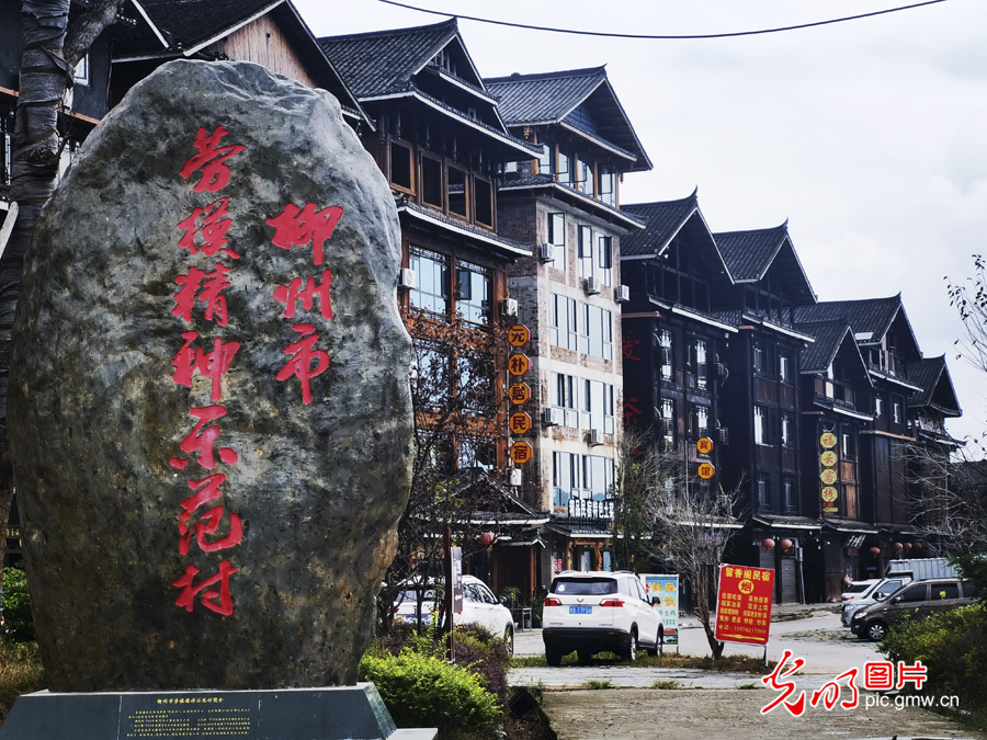 广西柳州：茶香侗情 景色迷人