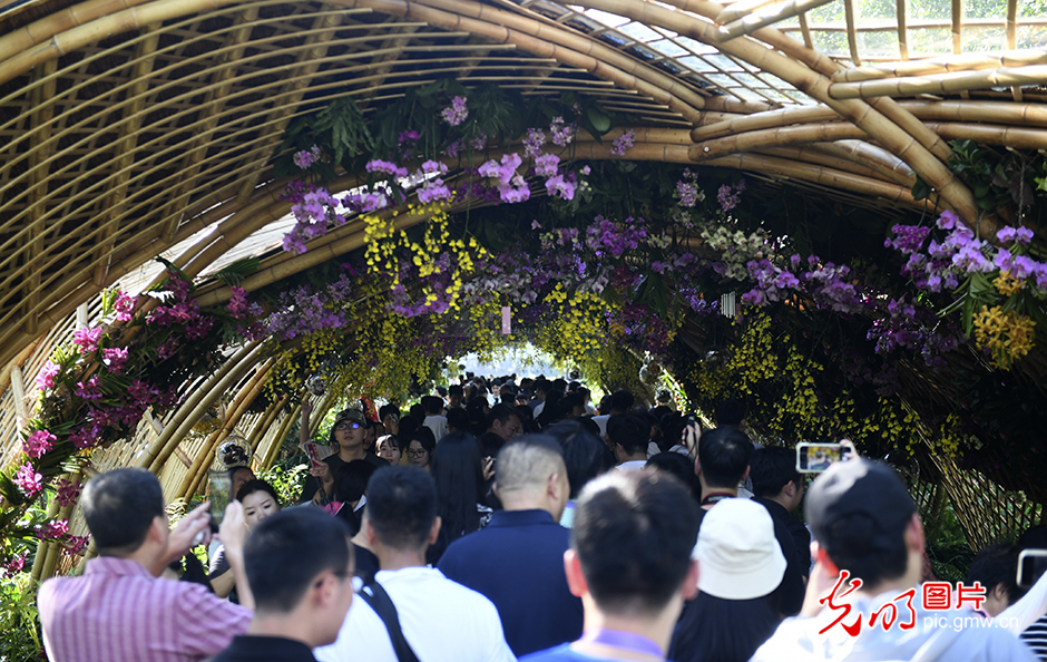 【诗画江南迎亚运】亚洲花卉主题园为杭州亚运会锦上添“花”