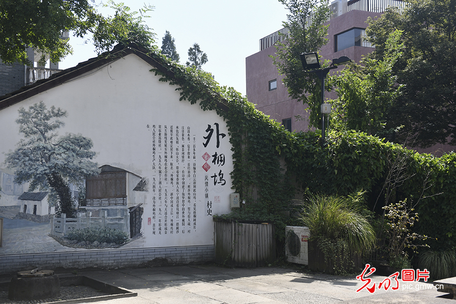 【诗画江南迎亚运】艺术赋能，在杭州外桐坞村领略自然之美