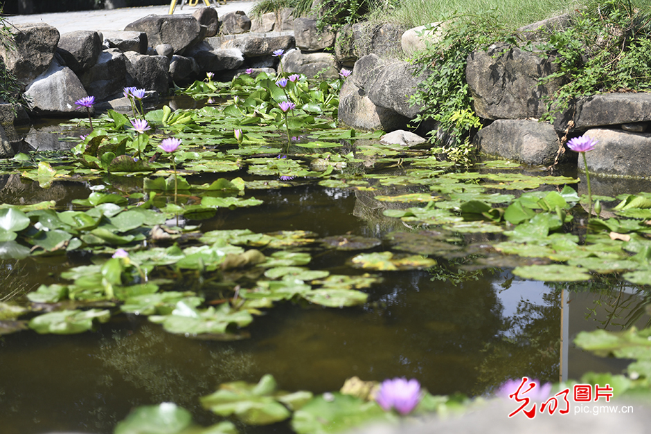 【诗画江南迎亚运】艺术赋能，在杭州外桐坞村领略自然之美