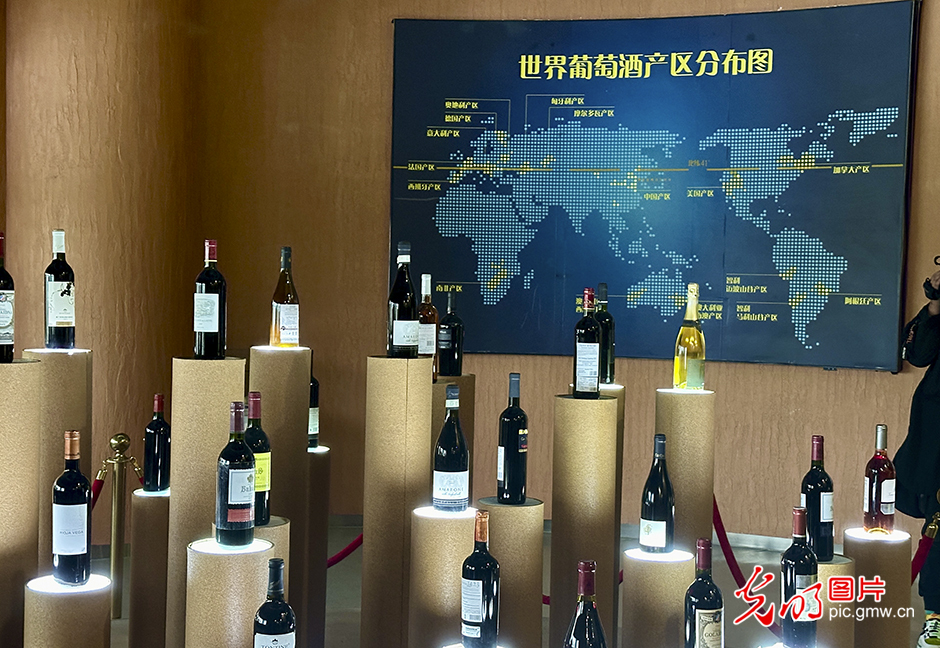 【稻花香里说丰年】山葡萄酿造出的“中国味道”