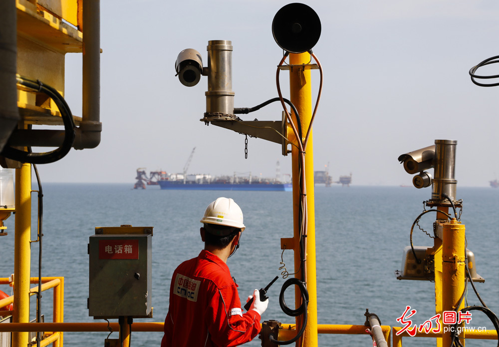 数智赋能渤海湾——探访我国海上首个海上智能油田