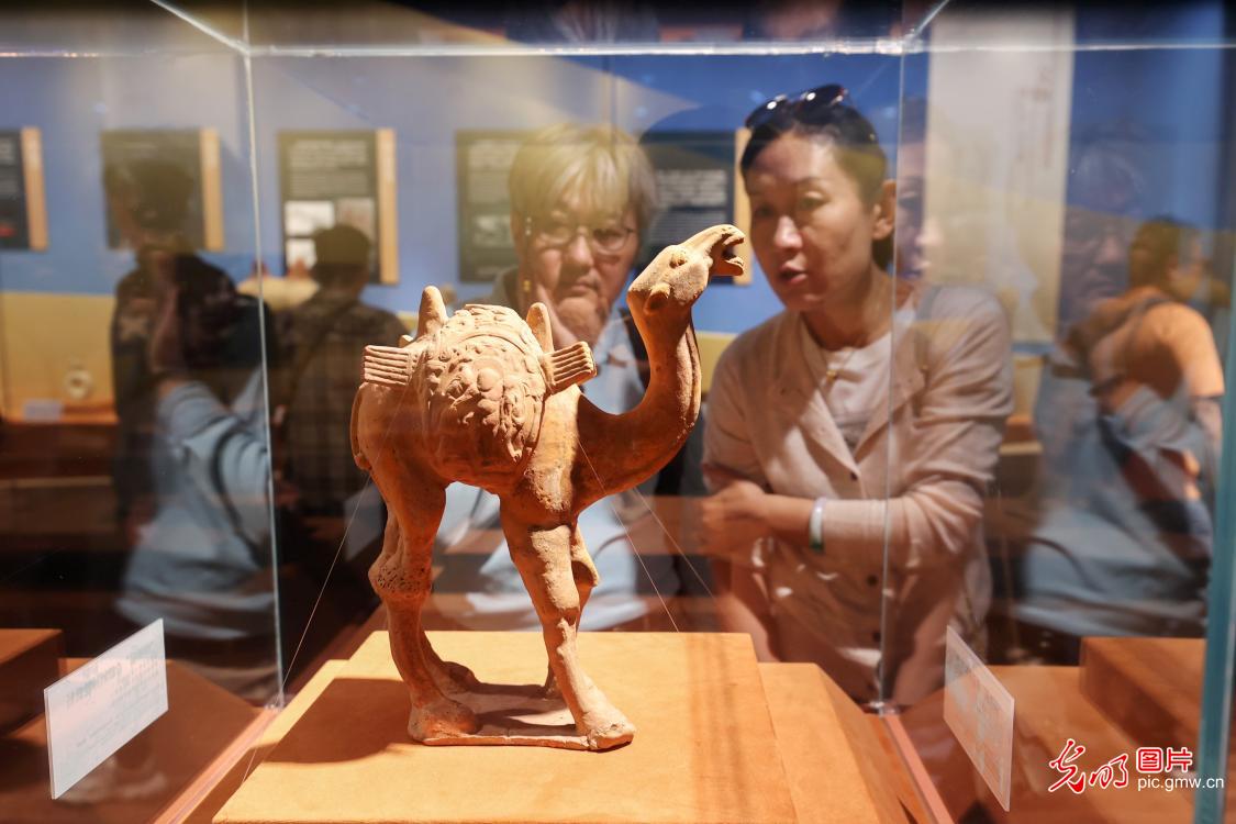 北京：“一带一路”文物考古合作展吸引观众