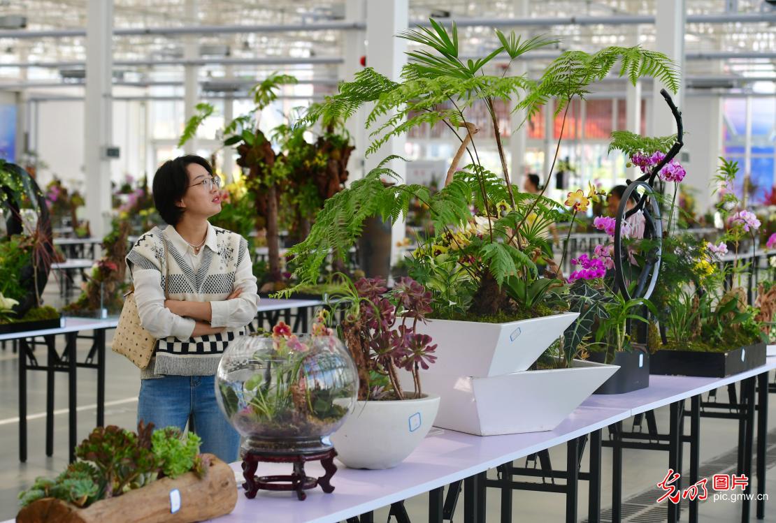 2023中国·合肥苗木花卉交易大会举行