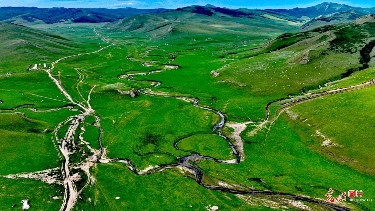 【农遗之珍】阿鲁科尔沁草原游牧系统：人与自然和谐共生的田园诗篇