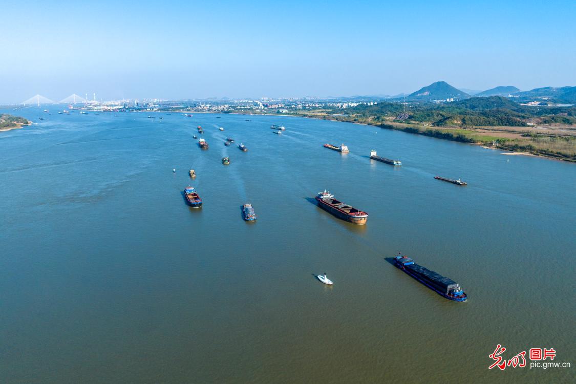 安徽芜湖：长江水域航运忙