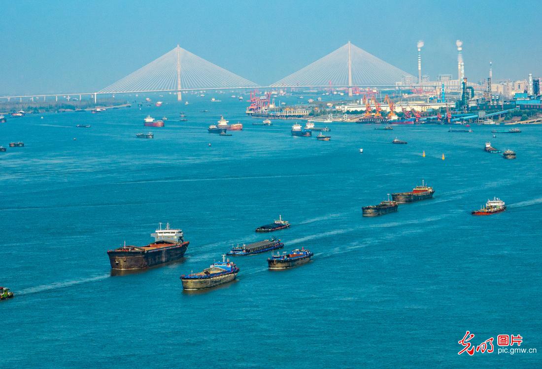 安徽芜湖：长江水域航运忙