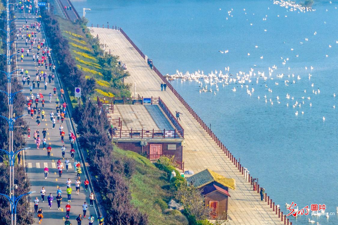 河南三门峡：“天鹅湖畔”激情上演马拉松赛事