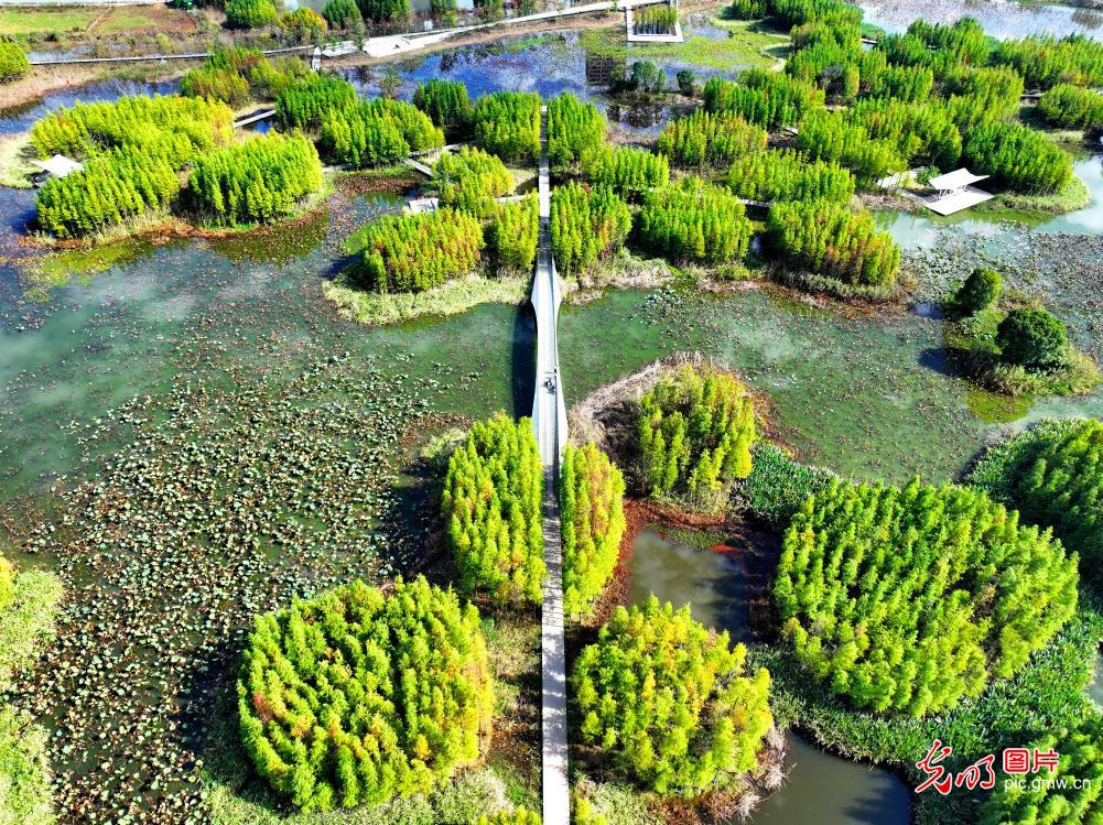【大地的色彩】保护湿地之美 呵护景美生态