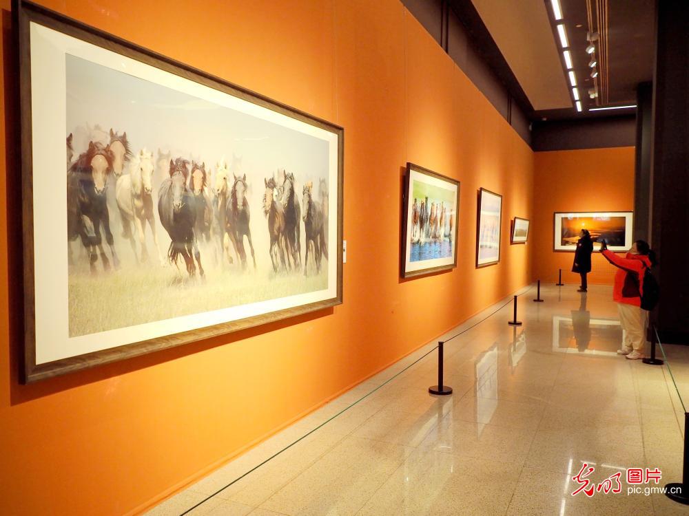内蒙古美术摄影作品展在京举办