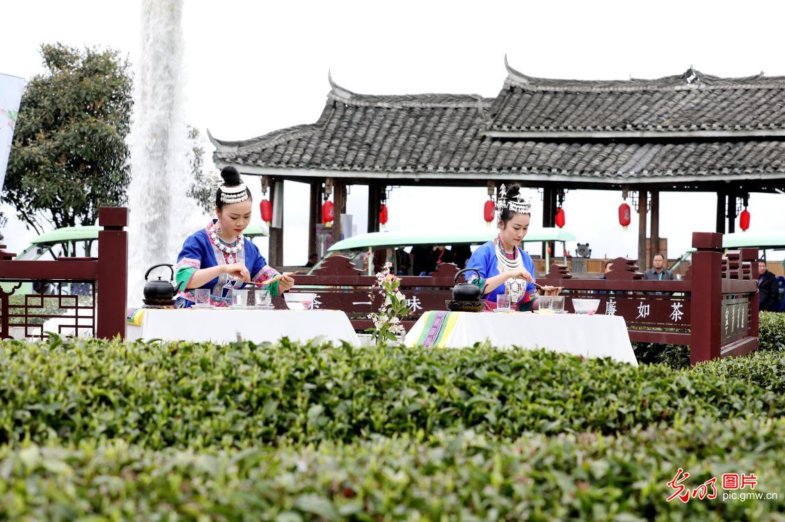 早春茶文化活动在广西举办