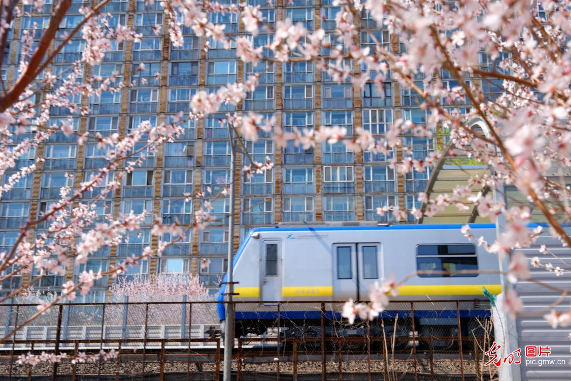 北京：“开往春天的列车”出发了