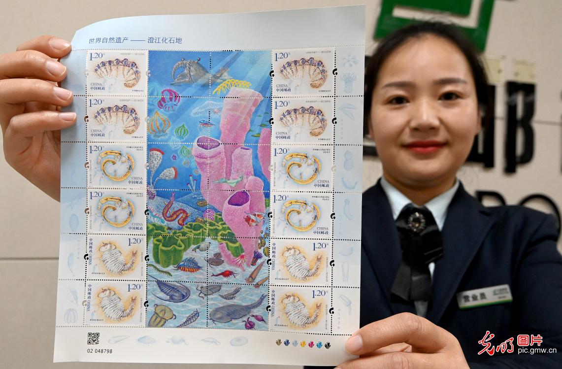 《世界自然遗产——澄江化石地》特种邮票发行