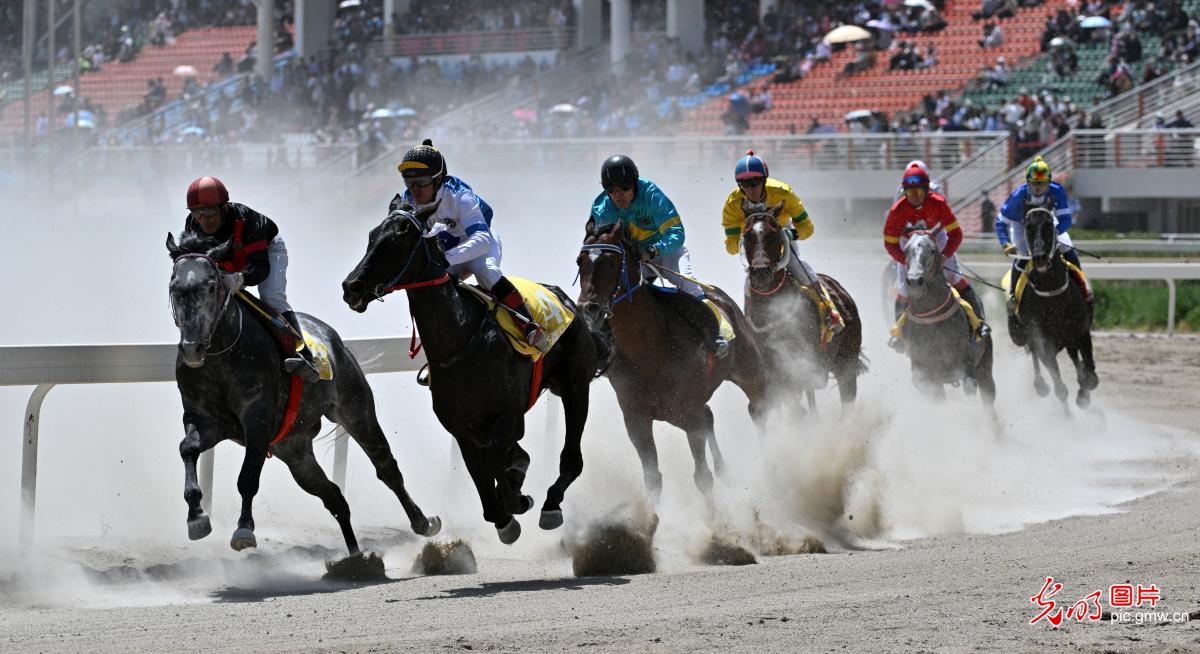 2024中国新疆马会库尔勒站演绎马背上的“速度与激情”