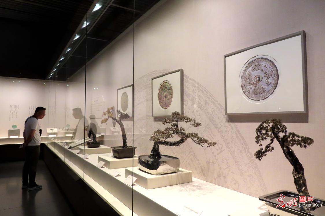 中国园林博物馆推出全新园林主题系列展对市民开放