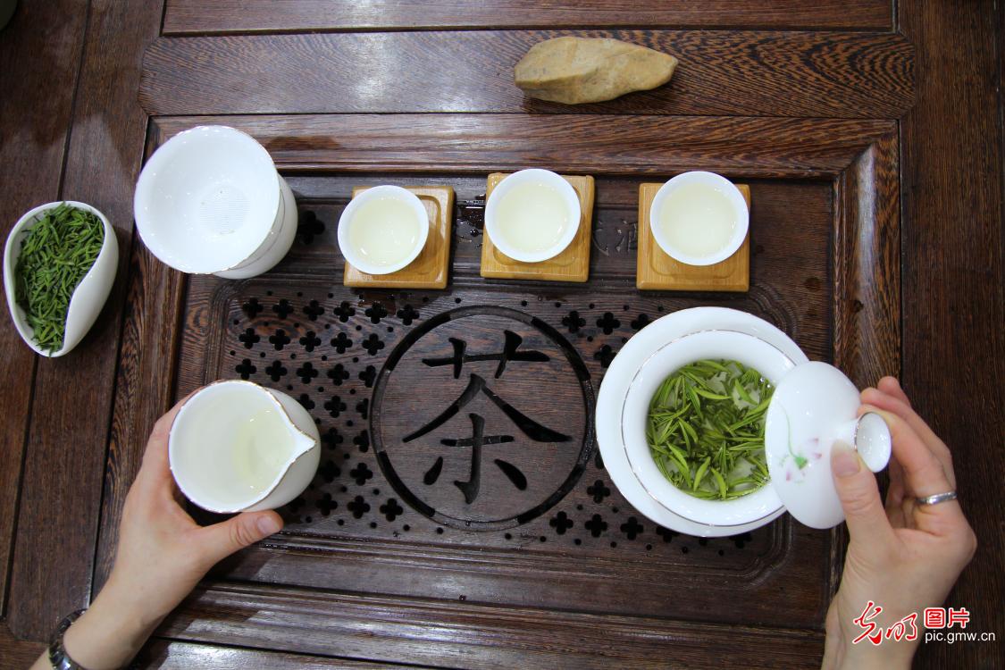 国际茶日｜从泡茶开始，感受茶文化的魅力