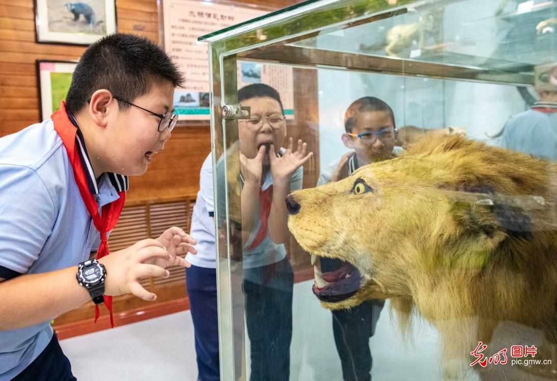 走进博物馆 感受生物多样性