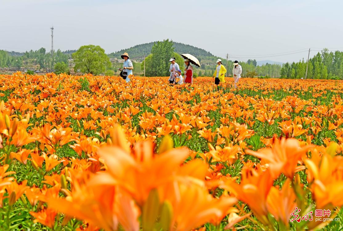 端午假期迎来旅游热