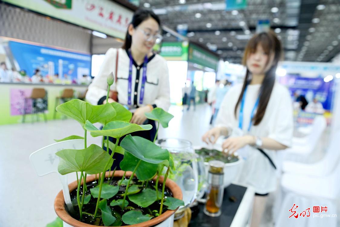 山东青岛首届全国性种业博览会开展