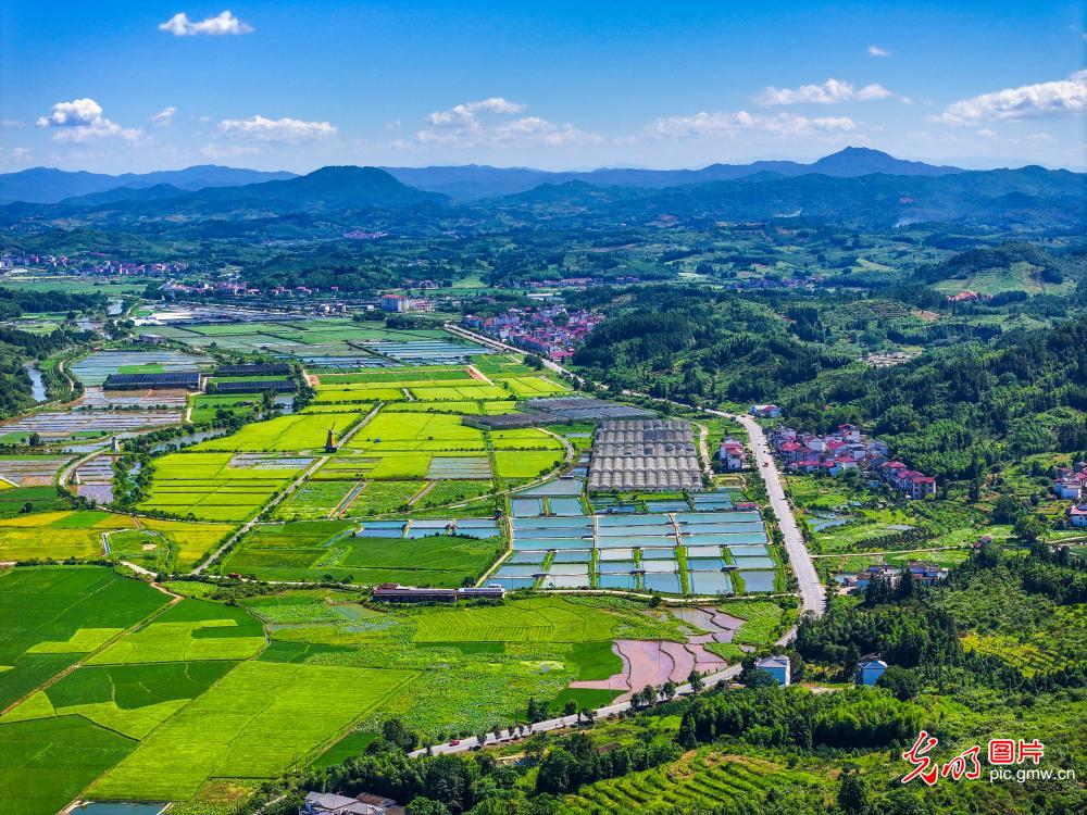 和美乡村 生态宜居