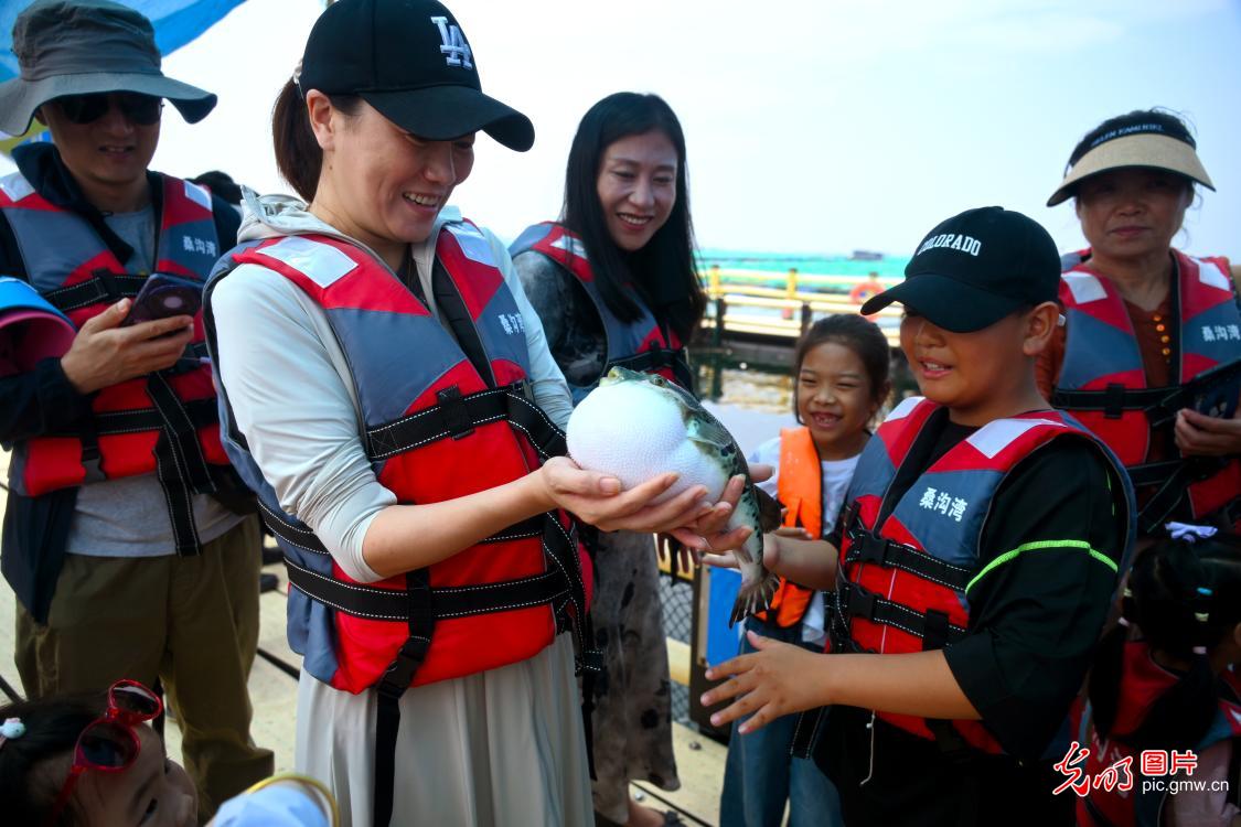 海洋牧场暑期“订单”旅游旺