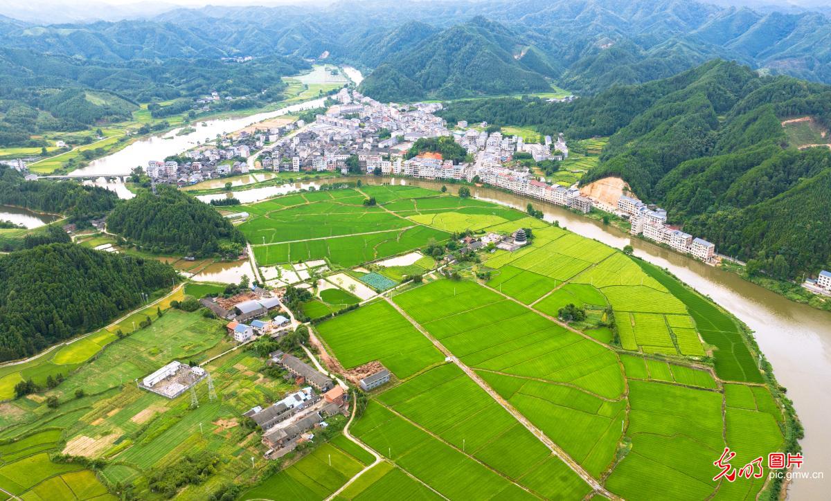 全国生态日│绿动未来 乡村振兴新活力