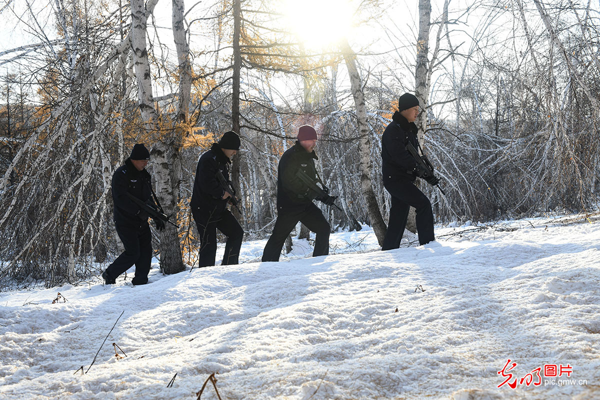 森林警察踏雪护林海