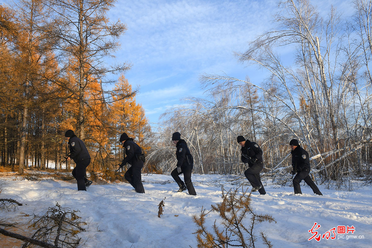 森林警察踏雪护林海