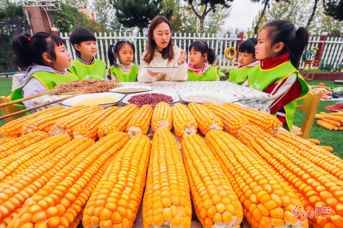 【世界粮食日】爱粮惜粮 从我做起